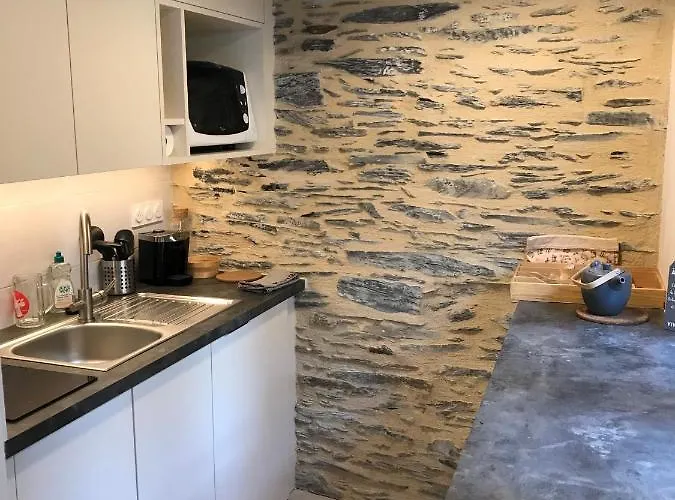 Lägenhet La Maison Du Cocher - Climatise En Hypercentre Angers